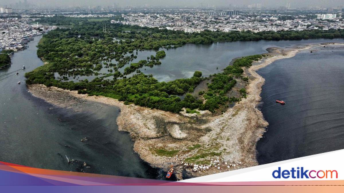 Muara Angke 'Trash Island' Nearly Cleared, Jakarta Provincial Government to Conduct Regular Inspections
