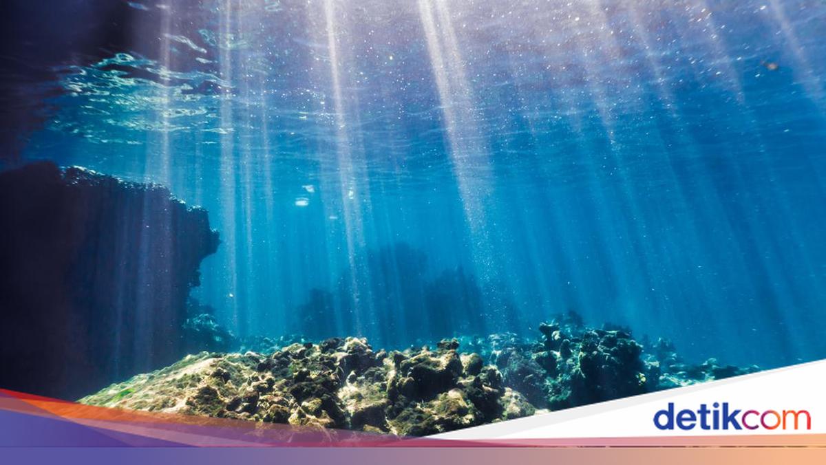 World Oceans Day 2026: Background and This Year's Theme