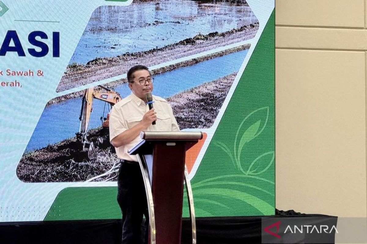Ministry of Agriculture: Community-Based Rice Field Expansion to Boost Local Economy