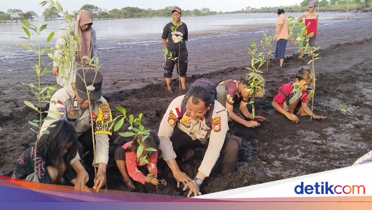 Environment Day: Police and Akit Tribe Plant Mangroves in Meranti Islands