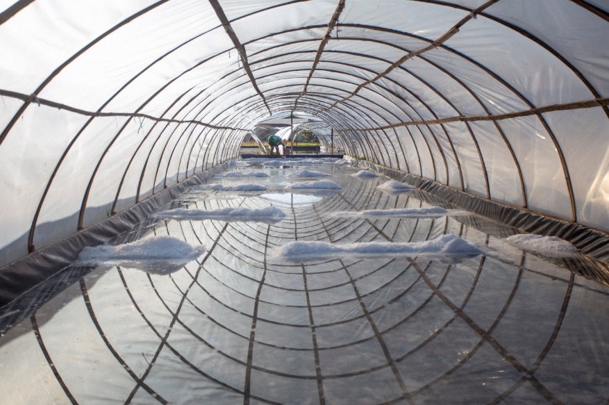 Government Continues to Accelerate National Salt Self-Sufficiency