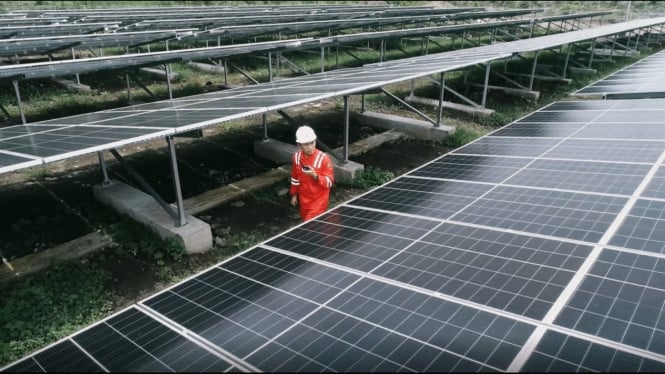 Chasing Global Markets, PLN IP Targets Business Expansion in Latin America and the Caribbean