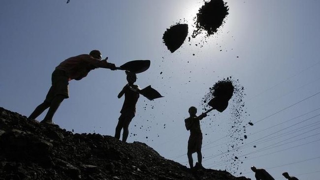 Surging by Over 7%, Coal Prices Nearing US$150 per Ton