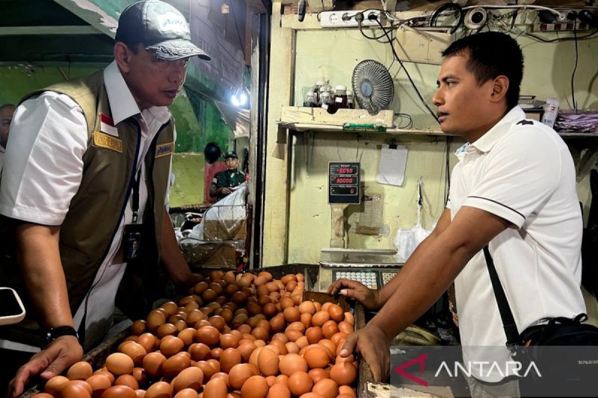 PIHPS: Chicken Egg Prices at Rp30,400/kg, Shallots at Rp54,350/kg