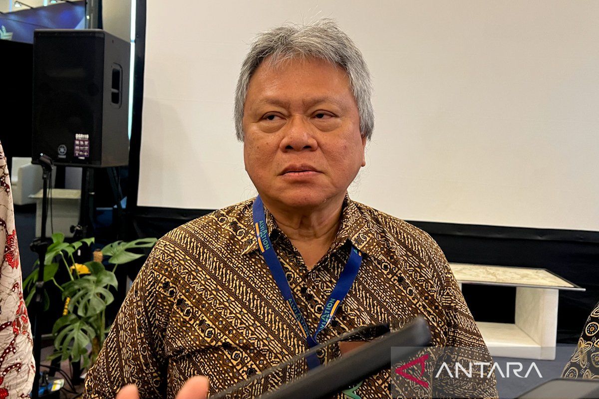 Observer: Revision of Flight Ticket Price Ceilings Appropriate for Flight Operations