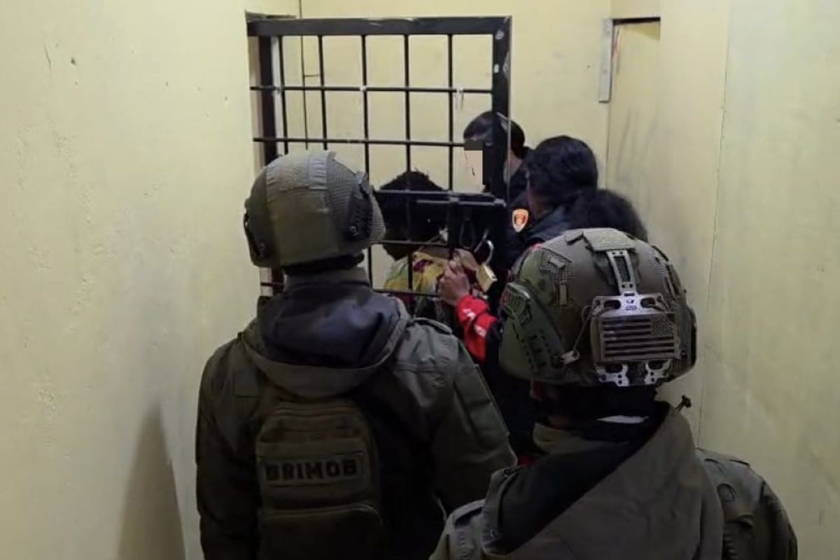 Damai Cartenz Task Force Arrests KKB Member Involved in Killing of Freeport Employee