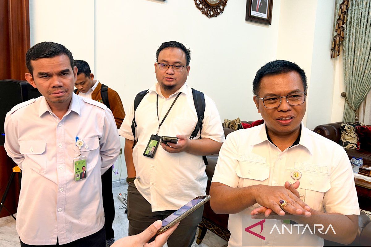 National Food Agency Ensures Government Maintains Price Balance for Eggs from Producer to Consumer