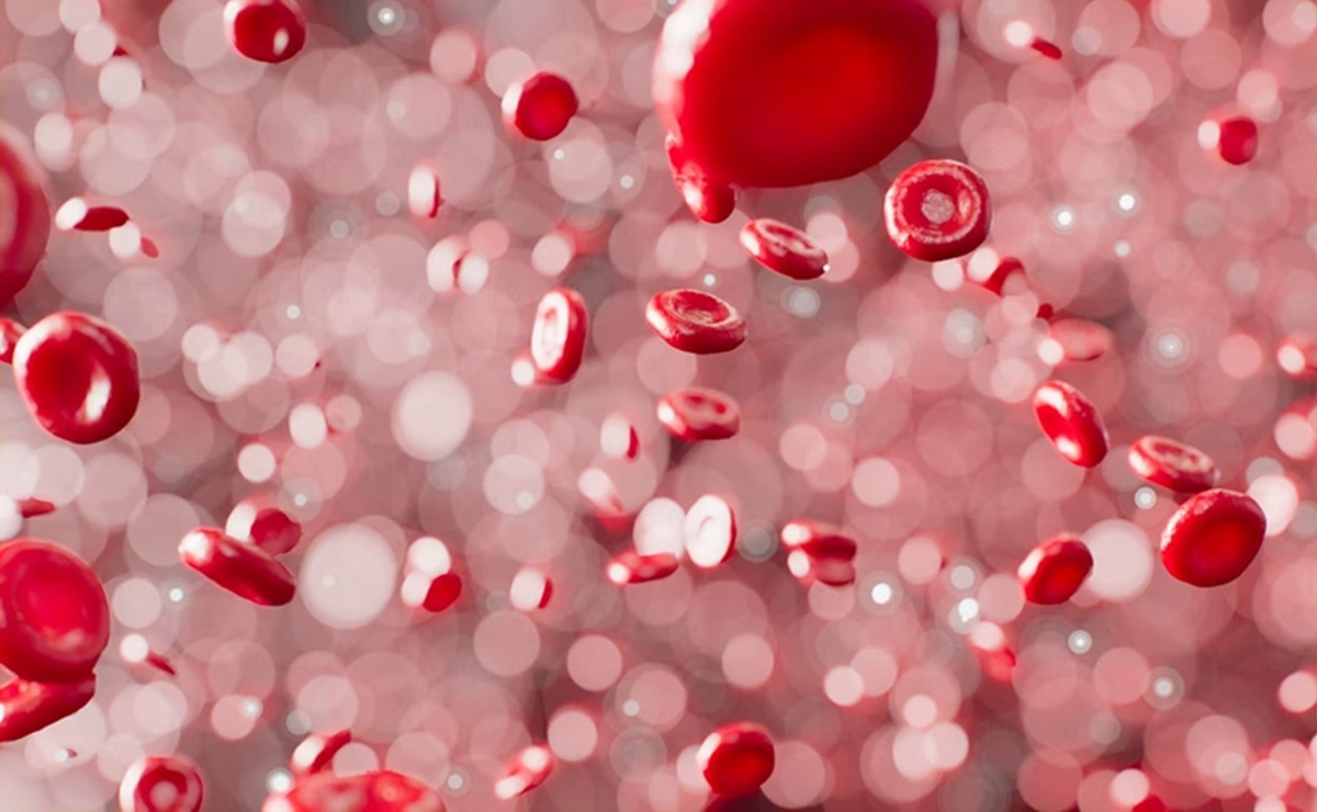 New Cholesterol Drug May Enhance Cancer Immunotherapy Effectiveness