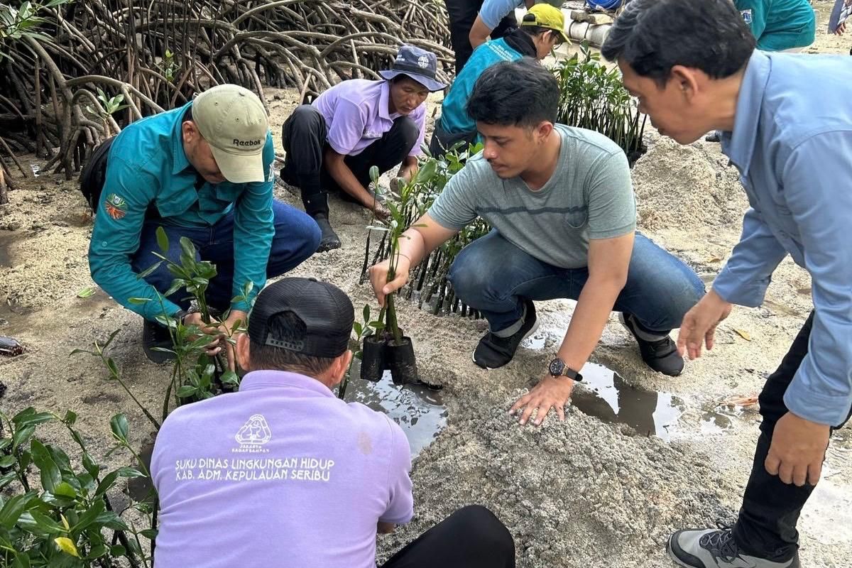 Seribu Islands Regency Government Plants Mangroves and Releases Sea Turtles for Environment Day