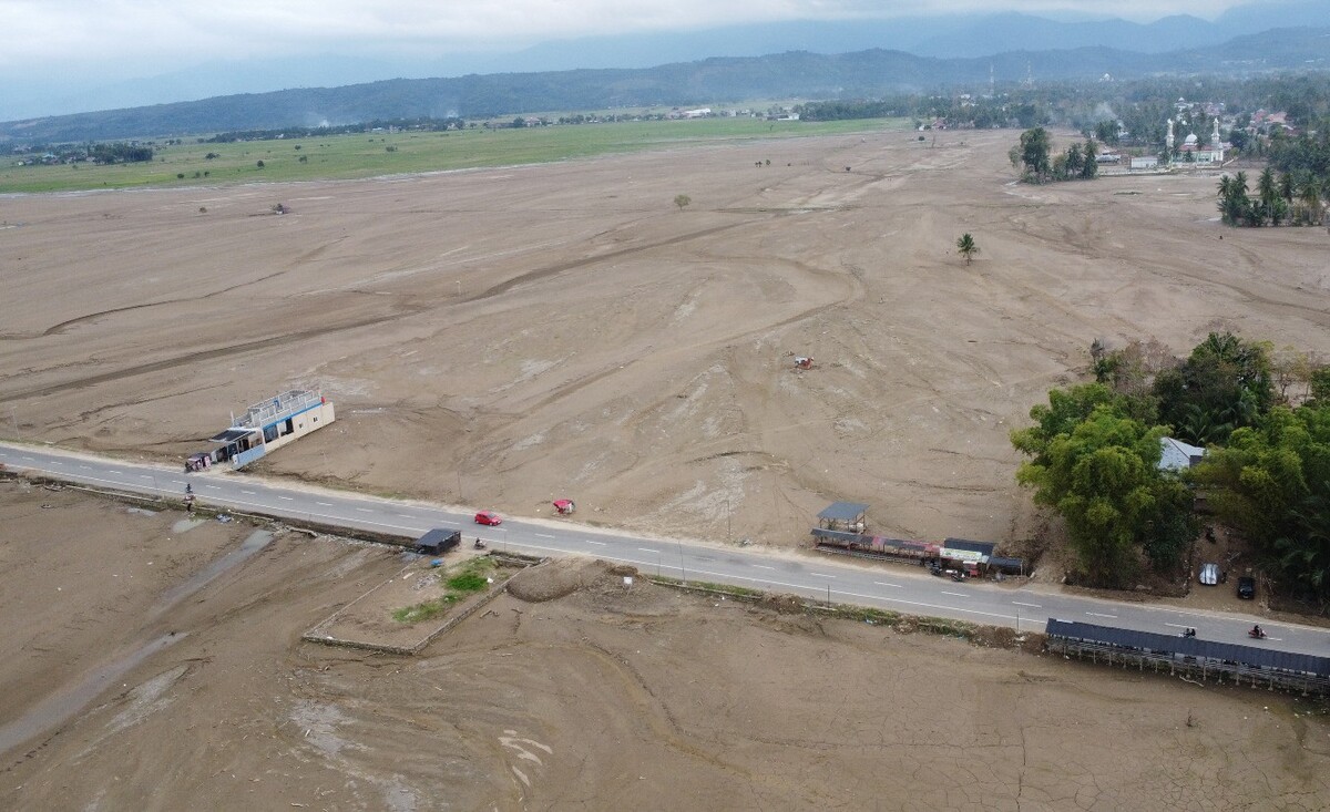 Seven Months Post-Flood in Bireuen: Thousands of Hectares of Rice Fields Still Buried in Mud
