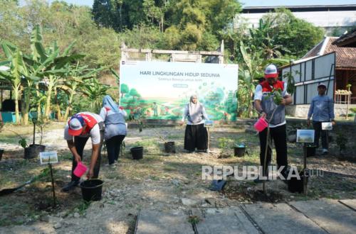 Commemorating World Environment Day, Pertamina Plants Trees and Strengthens Waste Management Innovation