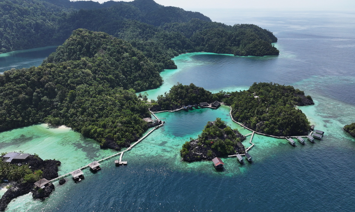 Understanding Blue Carbon: Why Marine Ecosystems are More Effective at Carbon Sequestration Than Terrestrial Forests