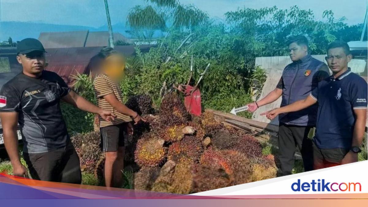 Man in East Kotawaringin Caught Stealing Palm Oil After Falling Fast Asleep