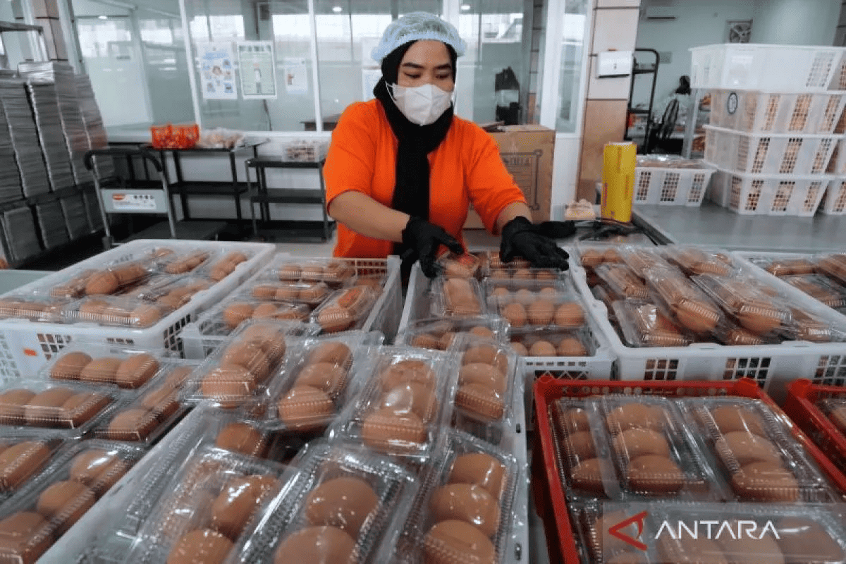 Hoax! National Nutrition Agency Has Not Ordered 700 Million Eggs from China for Free Nutritious Meal Programme