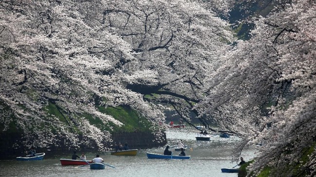 From 1 July 2026, Returning from Japan Will Incur Rp340,000 Tax