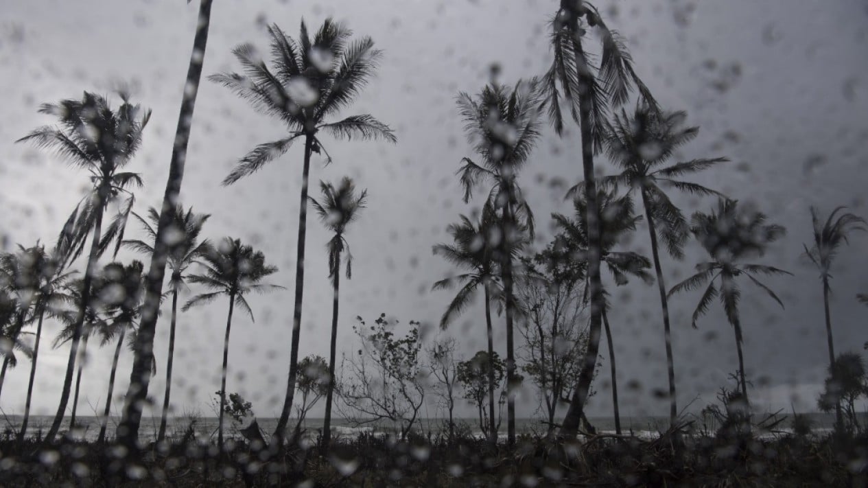 BMKG Reveals Tsunami Detected in Indonesia Following M7.7 Sulawesi Sea Earthquake, Wave Height Reaches 18 cm