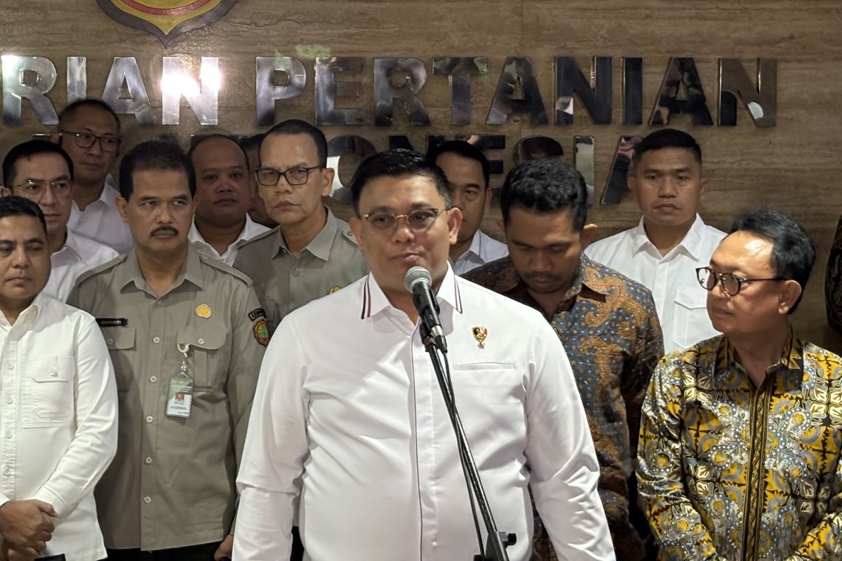 Food Task Force Suspects Cartel Activity Regarding Fresh Fruit Bunch Prices