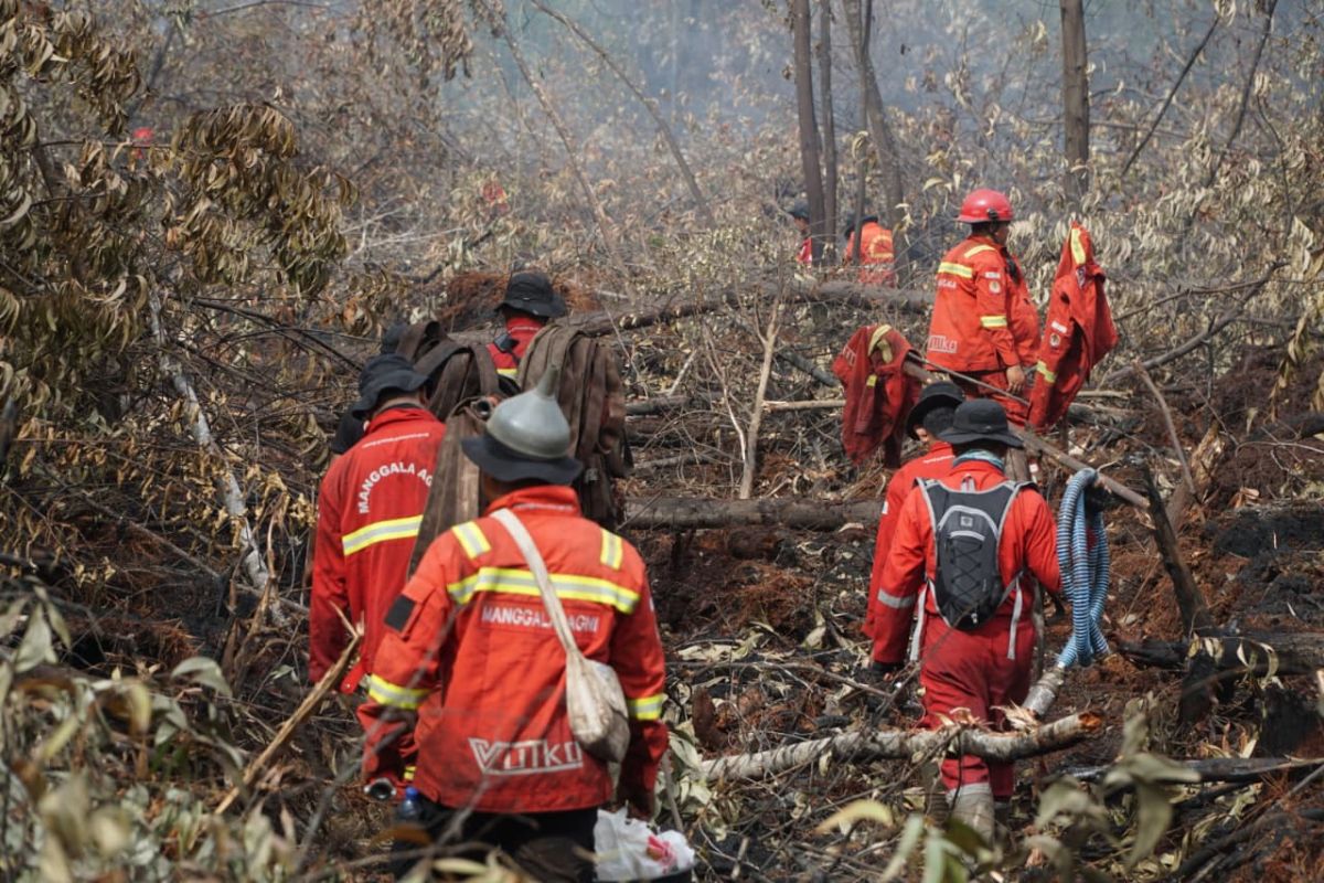 Manggala Agni struggles to extinguish 108-hectare forest fire in Bengkalis
