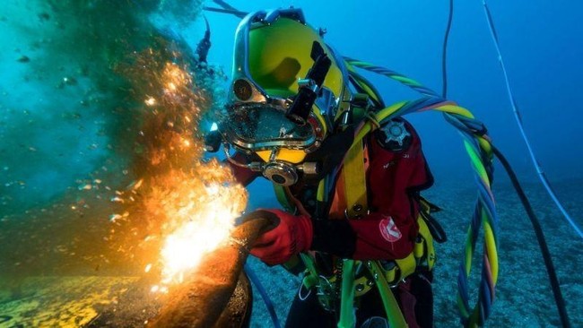 This Profession Does Not Require a Bachelor's Degree but Pays Over Rp400 Million