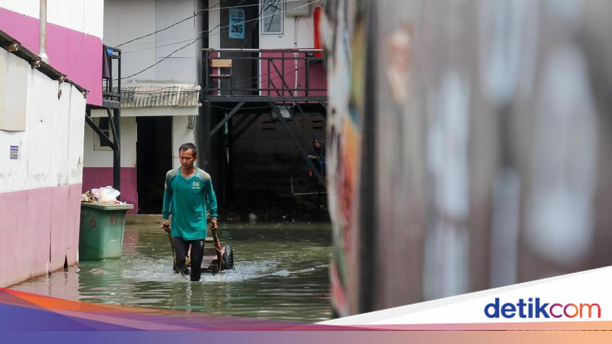 Tidal Flood Warning Issued for Coastal Regions from 8-25 June