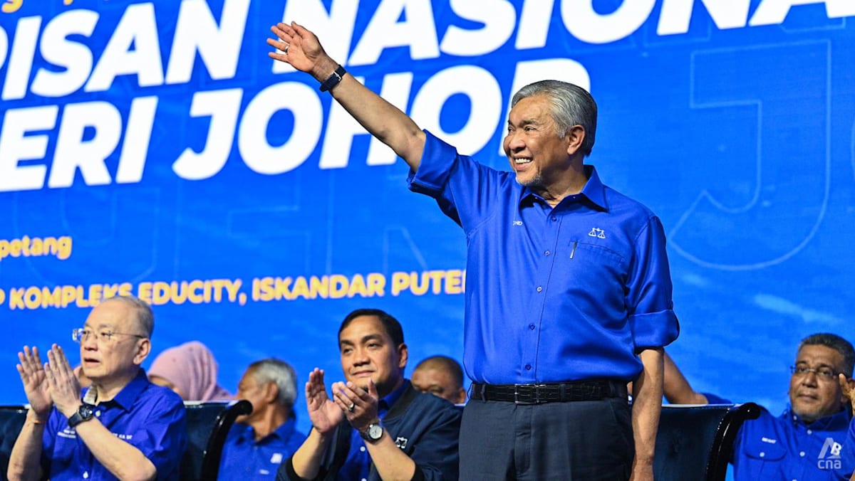 BN sees Johor snap polls as vehicle for 'blue wave' comeback nationwide, says chairman Zahid