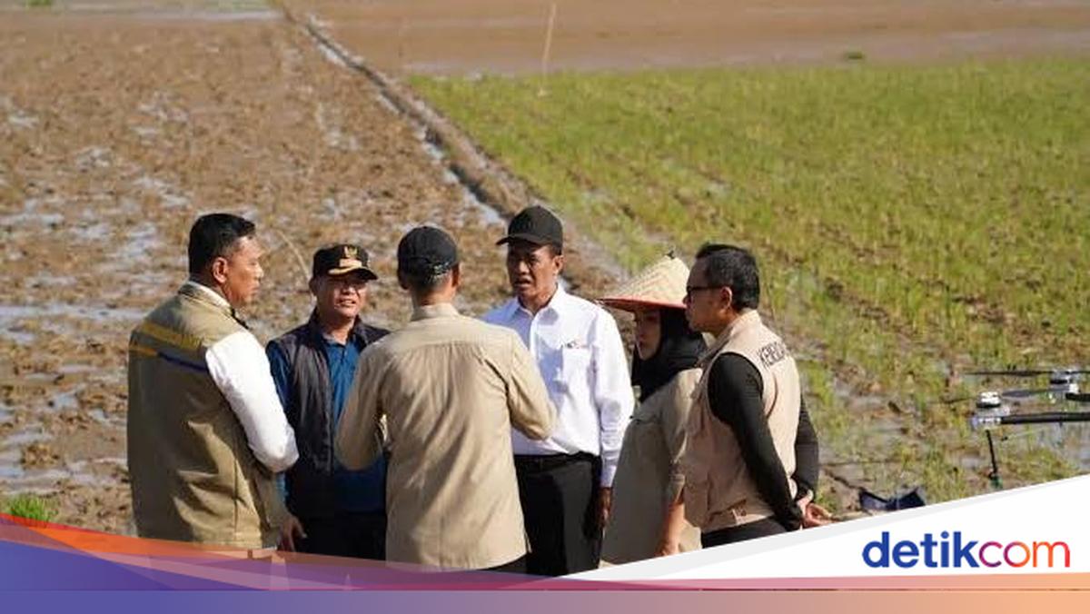 Post-Disaster Master Plan Brings New Hope for Farmers and Sustainable Food Security