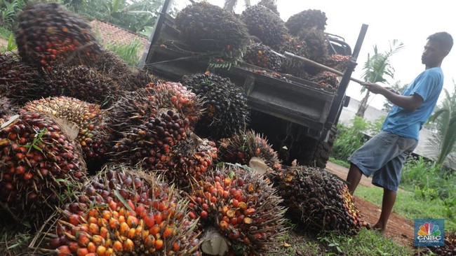 Indonesian Police Food Task Force Detects Indications of Palm Oil Price Cartel