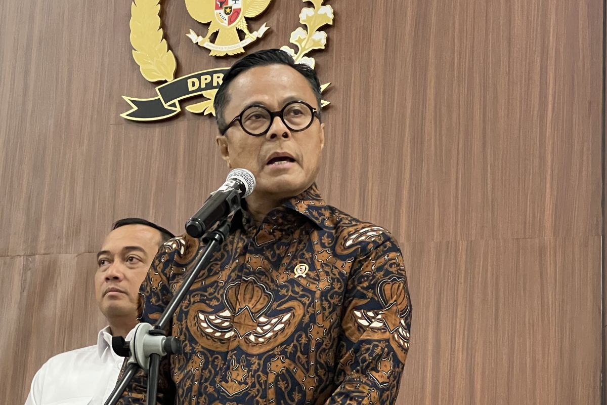 DSI not export broker, only provides service fees: Danantara