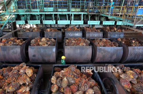 Agriculture Minister: Palm Oil FFB Prices Should Rise 10% as US Dollar Hits Rp 18,000
