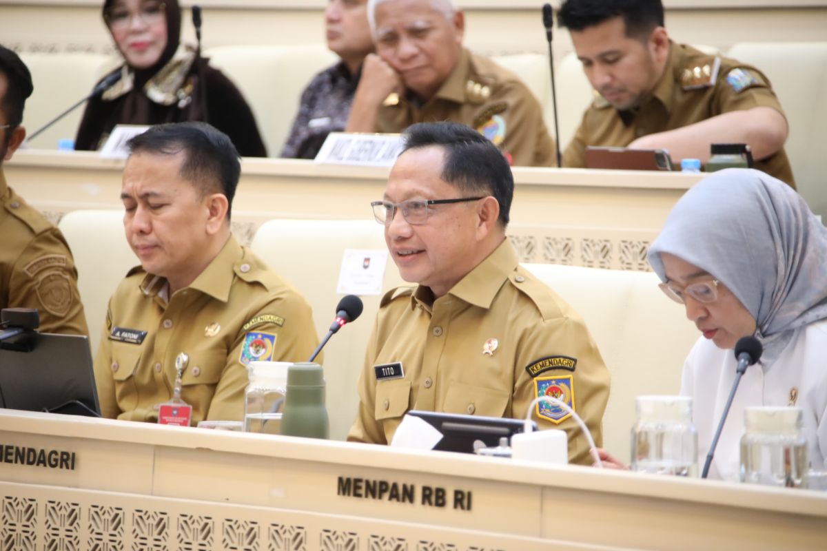 Minister of Home Affairs opposes dismissal of PPPK and honorary workers