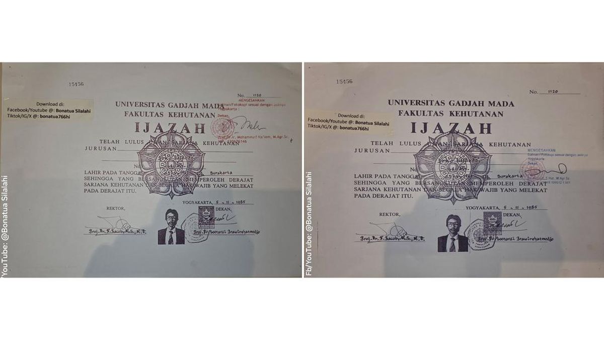 Mikhael Sinaga Claims to Find Discrepancies in Jokowi's Diploma Versions from PDIP and KPU