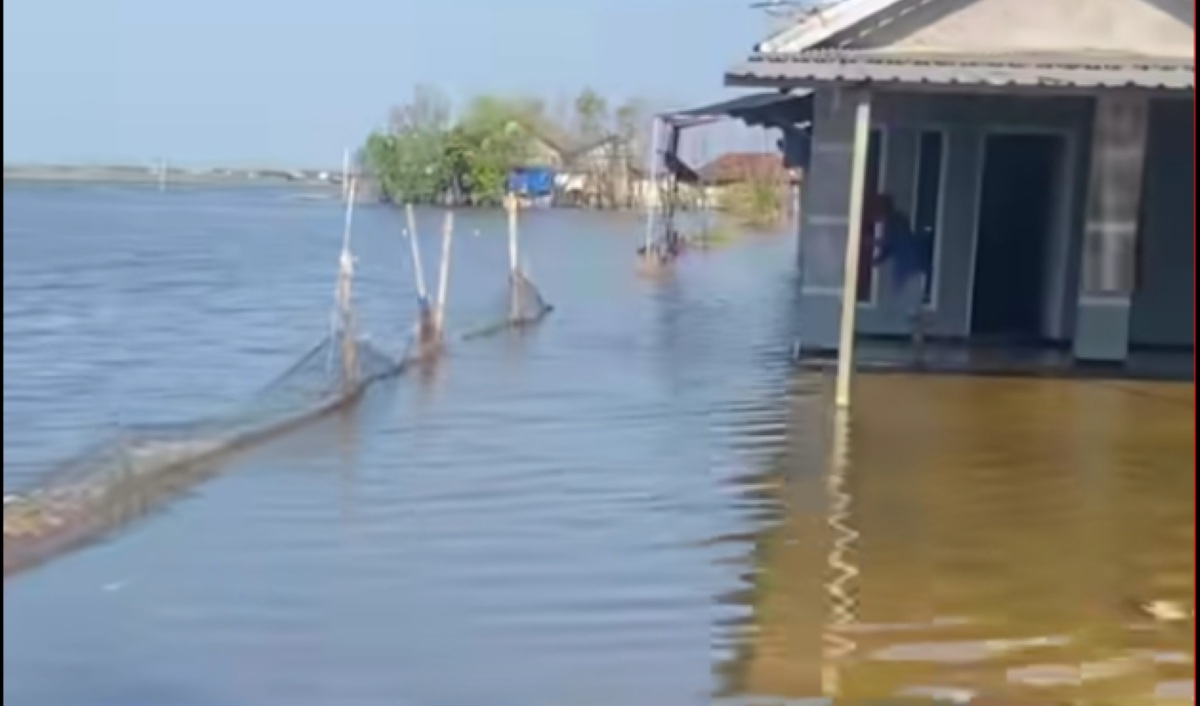 Tidal Flooding Submerges Central Java's North Coast, Paralyzing Semarang-Demak Route