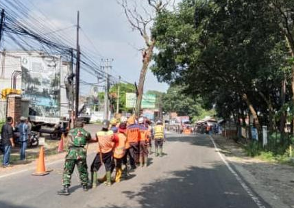 Anticipating Strong Winds, Sumedang BPBD Prunes Trees at Risk of Falling on National Road