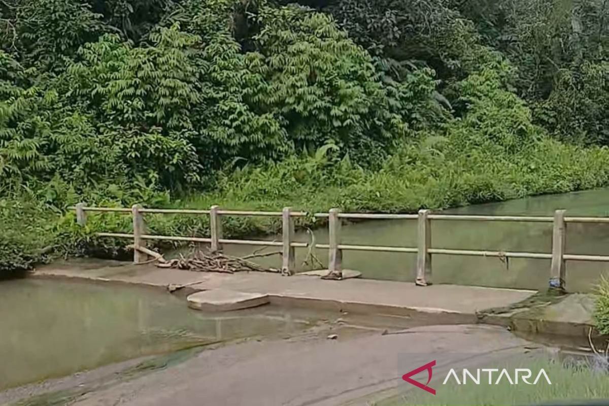 600 hectares of paddy fields in Nagan Raya suffer drought due to shallow irrigation canals