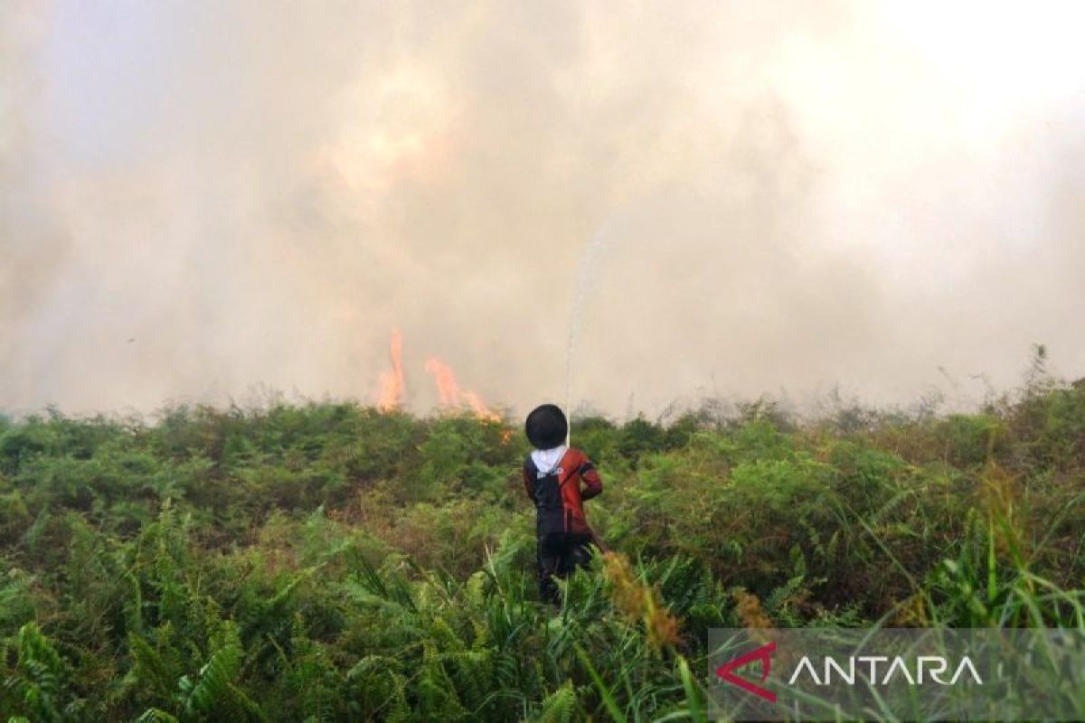 BNPB Deploys Water Bombing Helicopters to Tackle Expanding Forest Fires in West Aceh