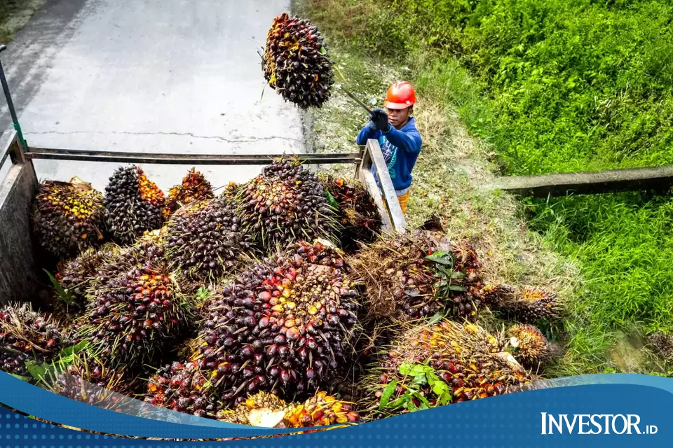 Ini Risiko PT DSI Jadi Eksportir Tunggal - Investor Daily