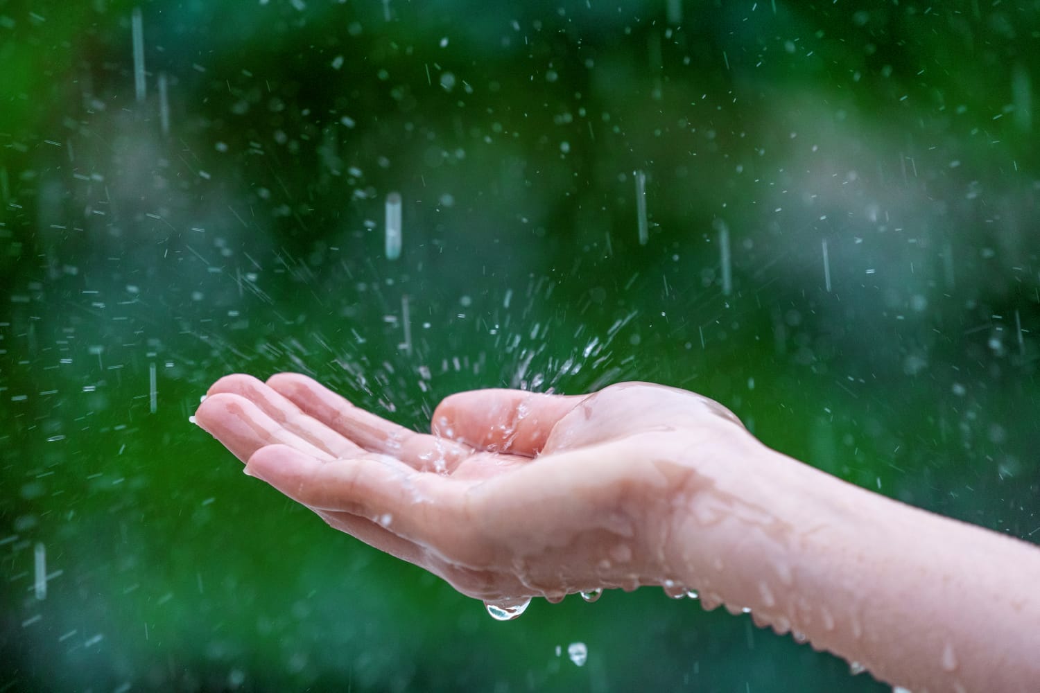 Weather Forecast 9 June 2026: Three Active Cyclonic Circulations, West Kalimantan on Alert for Very Heavy Rain