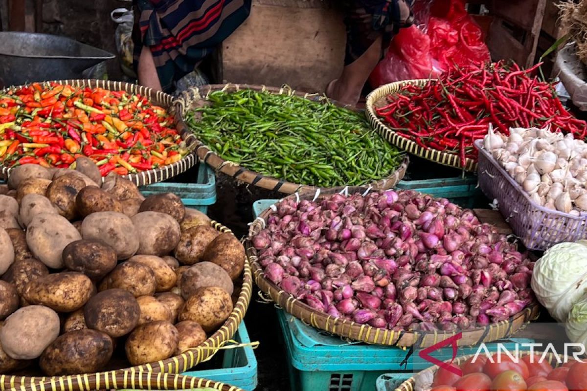 PIHPS: Bird's eye chilli reaches Rp75,150 per kg, chicken eggs at Rp30,350 per kg