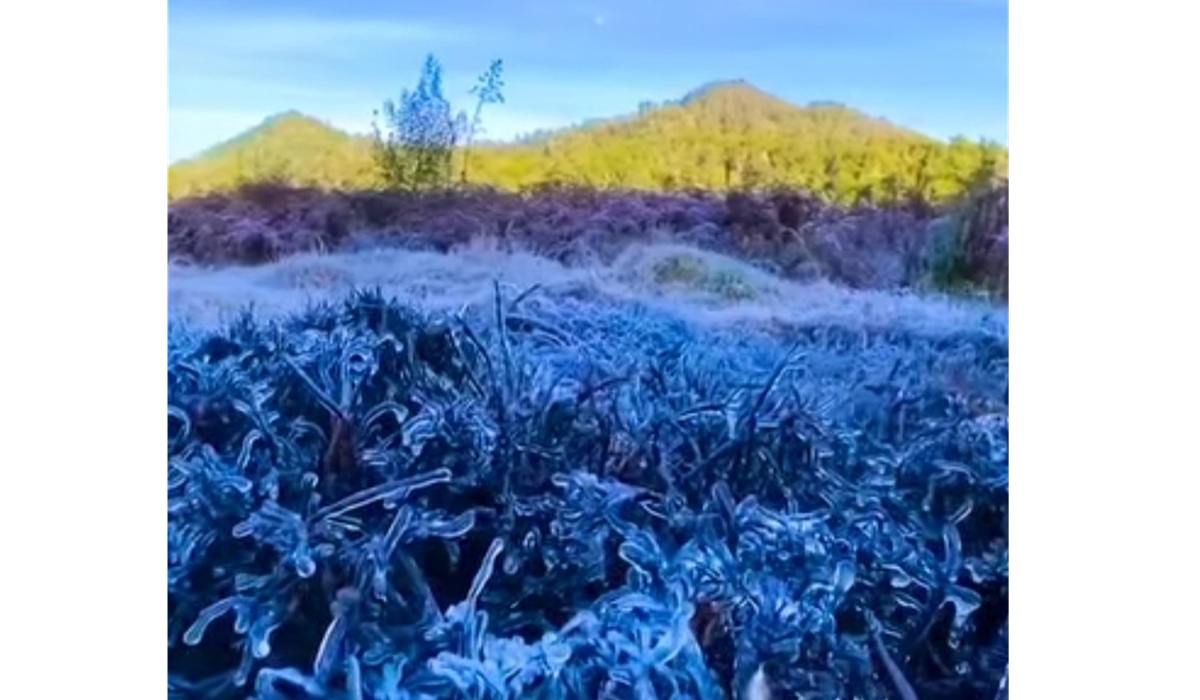 Frost Phenomenon Returns to Dieng, Temperatures Drop to Minus 1 Degree Celsius