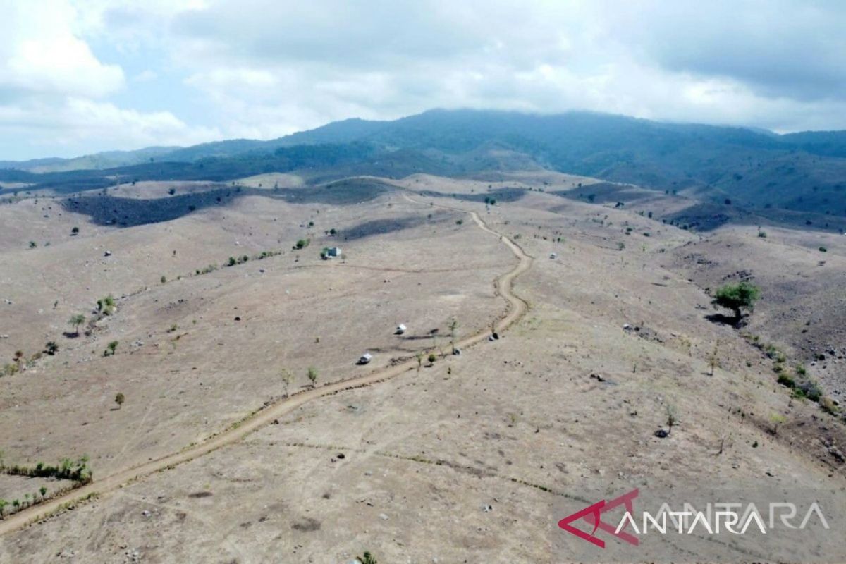 Rebuilding the Green Landscape in NTB