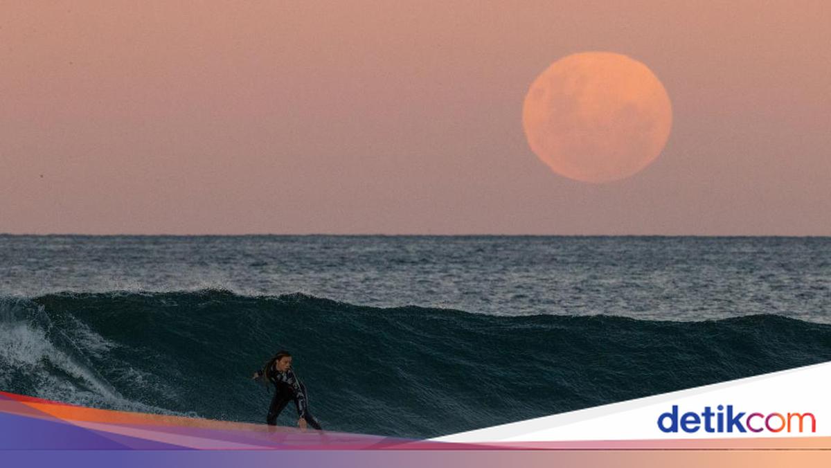 Super New Moon in June 2026: BMKG Warns of Potential Tidal Flooding