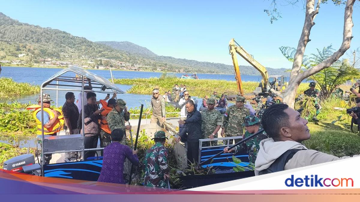 Water Hyacinth Covering 8 Hectares of Lake Buyan Begins to be Cleared