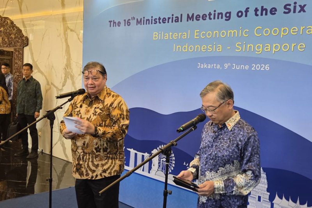 Airlangga: Clean electricity exports to Singapore cannot start this year