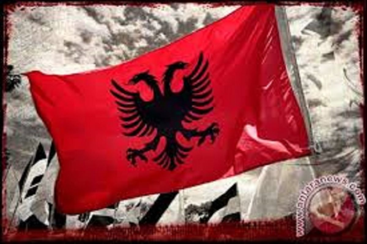 Anatomy of the Flamingo Revolution in Albania
