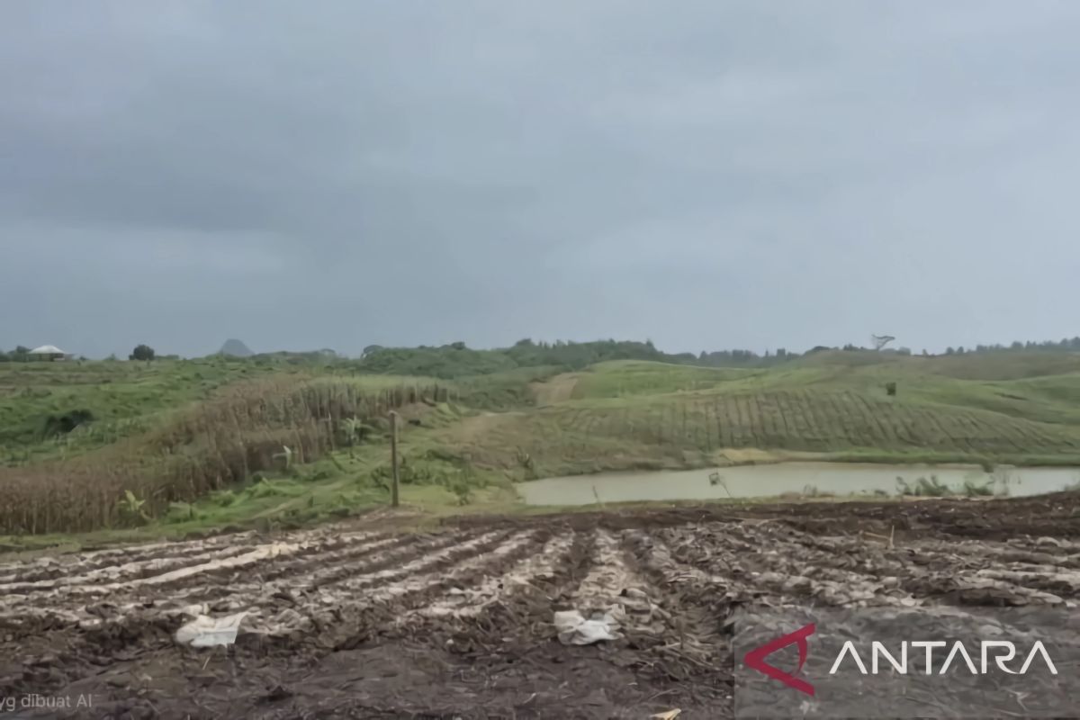 BMKG: El Niño to Reduce Rainfall Intensity in West Java Over the Coming Week