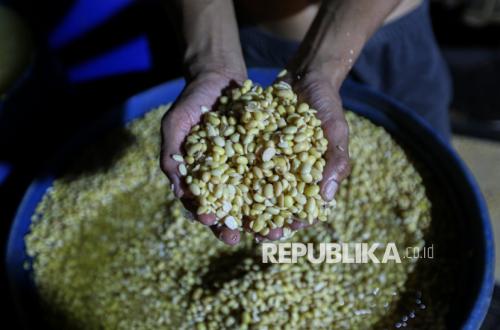 Soybean Self-Sufficiency Accelerated, Amran Targets Production of 5 Tonnes per Hectare