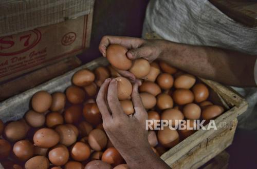 Amran Orders Egg Buyers to Comply with Rp 26,500 per Kilogram Reference Price