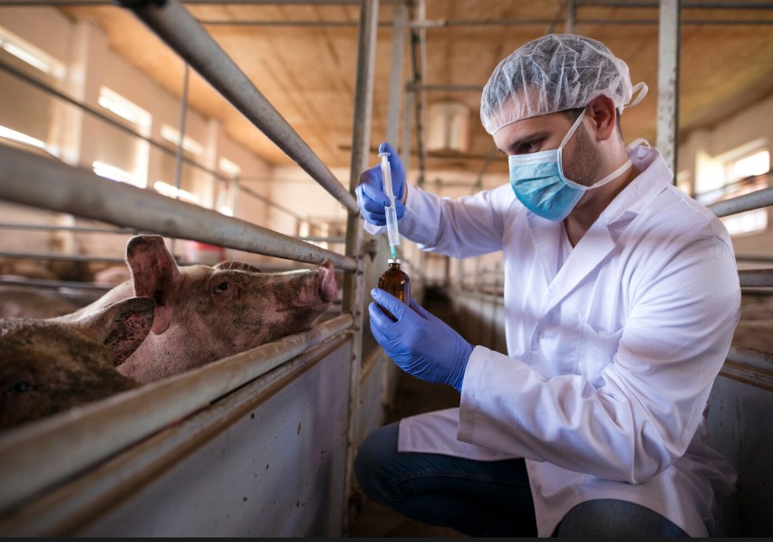 Climate Change Triggers Spread of Animal-to-Human Diseases