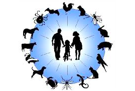 Climate Change Threatens Children's Health, Infectious Diseases Spread Further