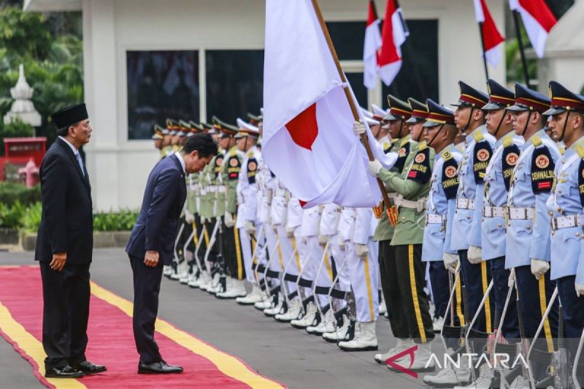 Japan's Ruling Party Approves Bill Criminalising Flag Desecration
